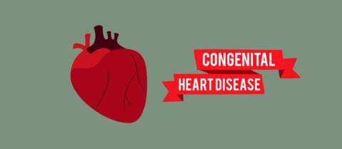 أمراض القلب الخلقية L ما أنواع أمراض القلب