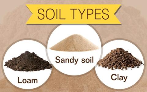 ما هي أنواع التربة L ما هي خصائص كل تربة ؟ شرح