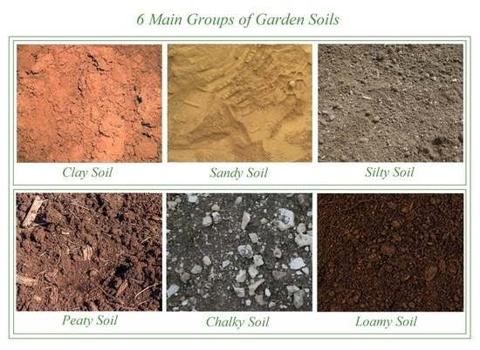أنواع التربة