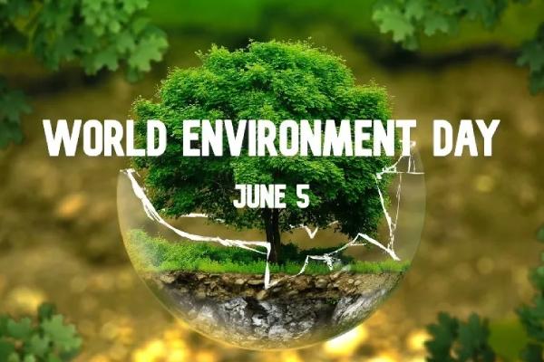 اليوم العالمي للبيئة 2023 L كل ما تريد معرفته عن اليوم العالمي للبيئة لعام 2023 L الشعار – أهميته