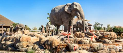 حدائق الحيوانات في دبي .. تفاصيل وعناوين وأرقام