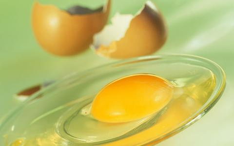 فوائد شرب البيض النيء | هل شرب البيض النيء يزيد