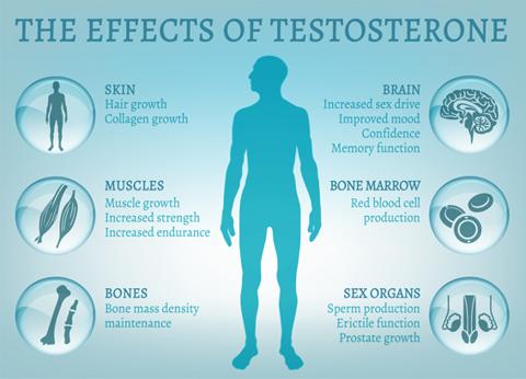 نقص التستوستيرون هرمون الذكورة L ما هو نقص
